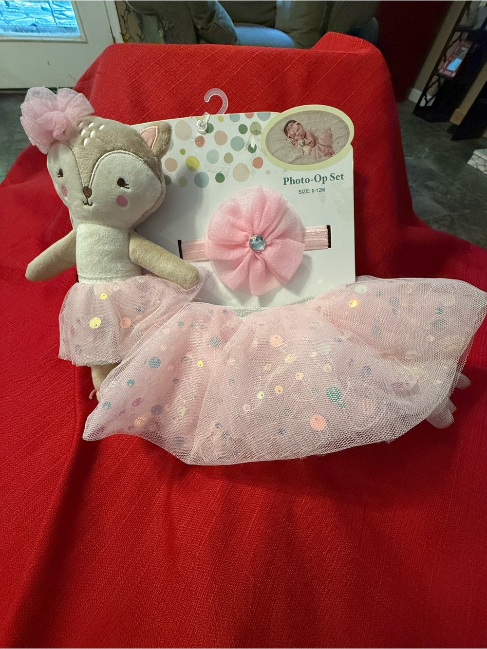 Photo Op Set for baby girl